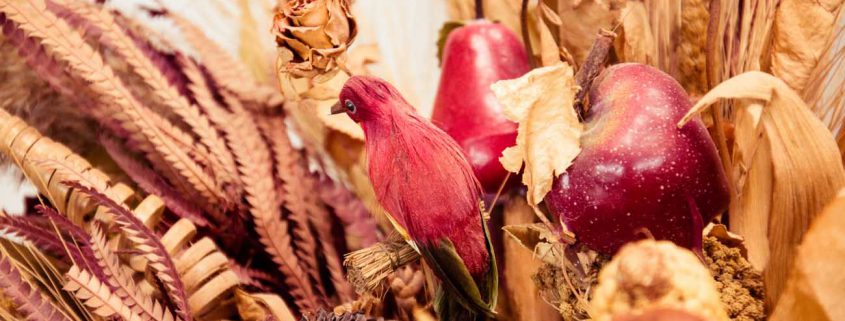 gite ferme ravin cambremer normandie-19 gîte ferme ravin cambremer calvados normandie