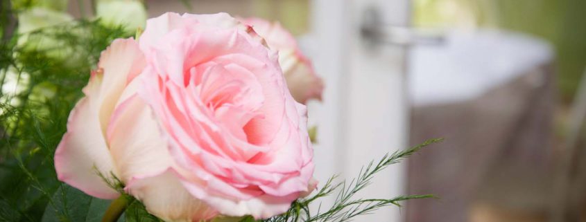 gite troglodyte ferme ravin pays dauge normandie-22